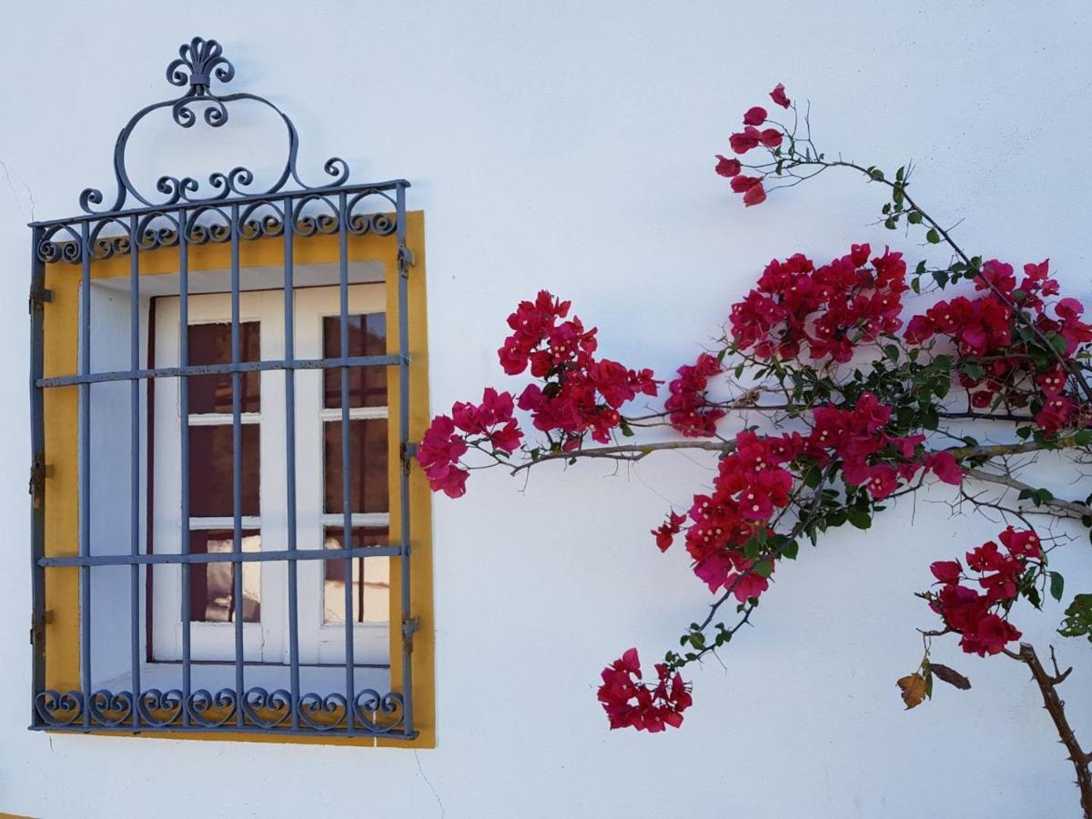 Villa Quinta De Evoramonte à Estremoz Extérieur photo