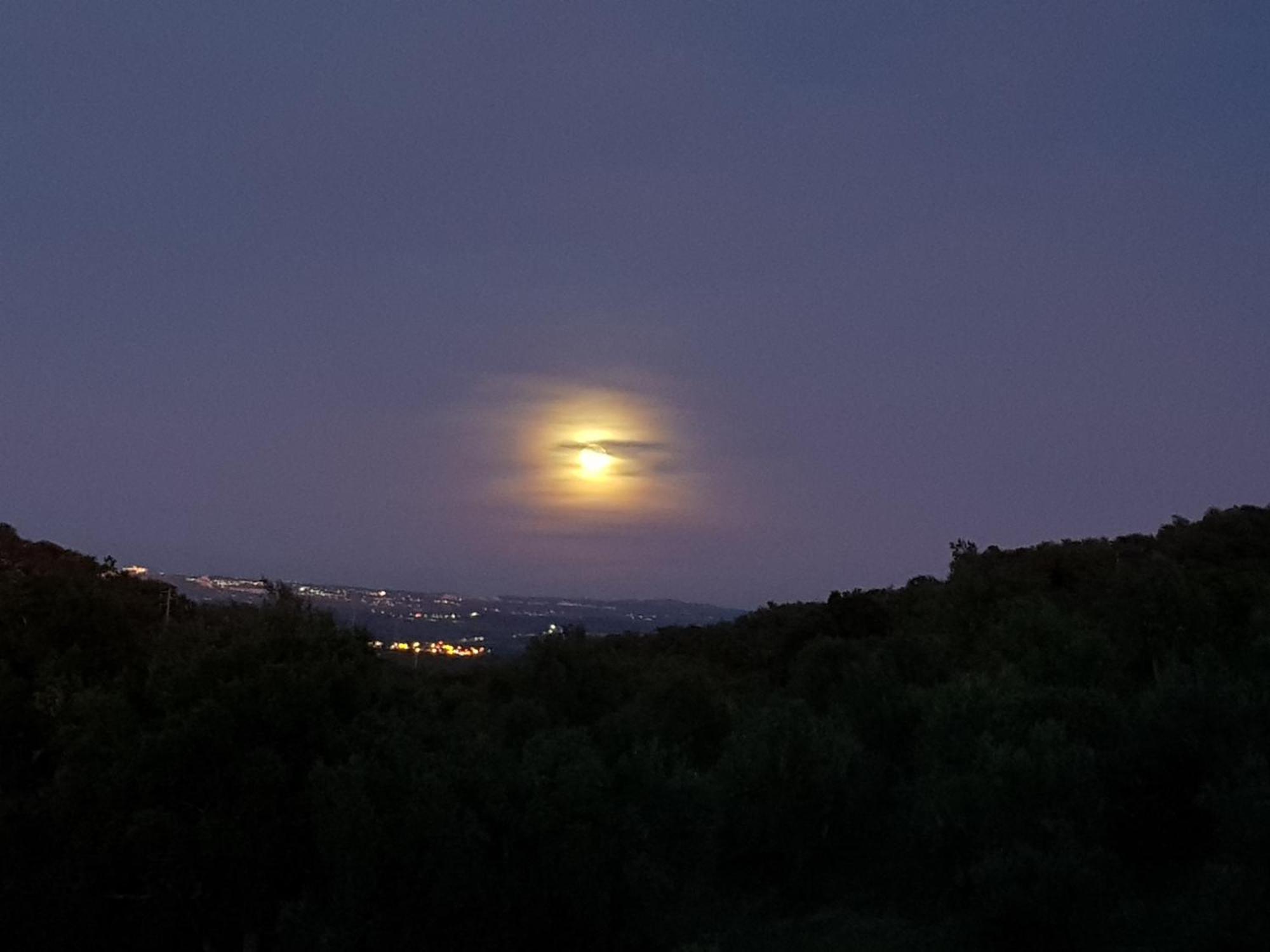Villa Quinta De Evoramonte à Estremoz Extérieur photo
