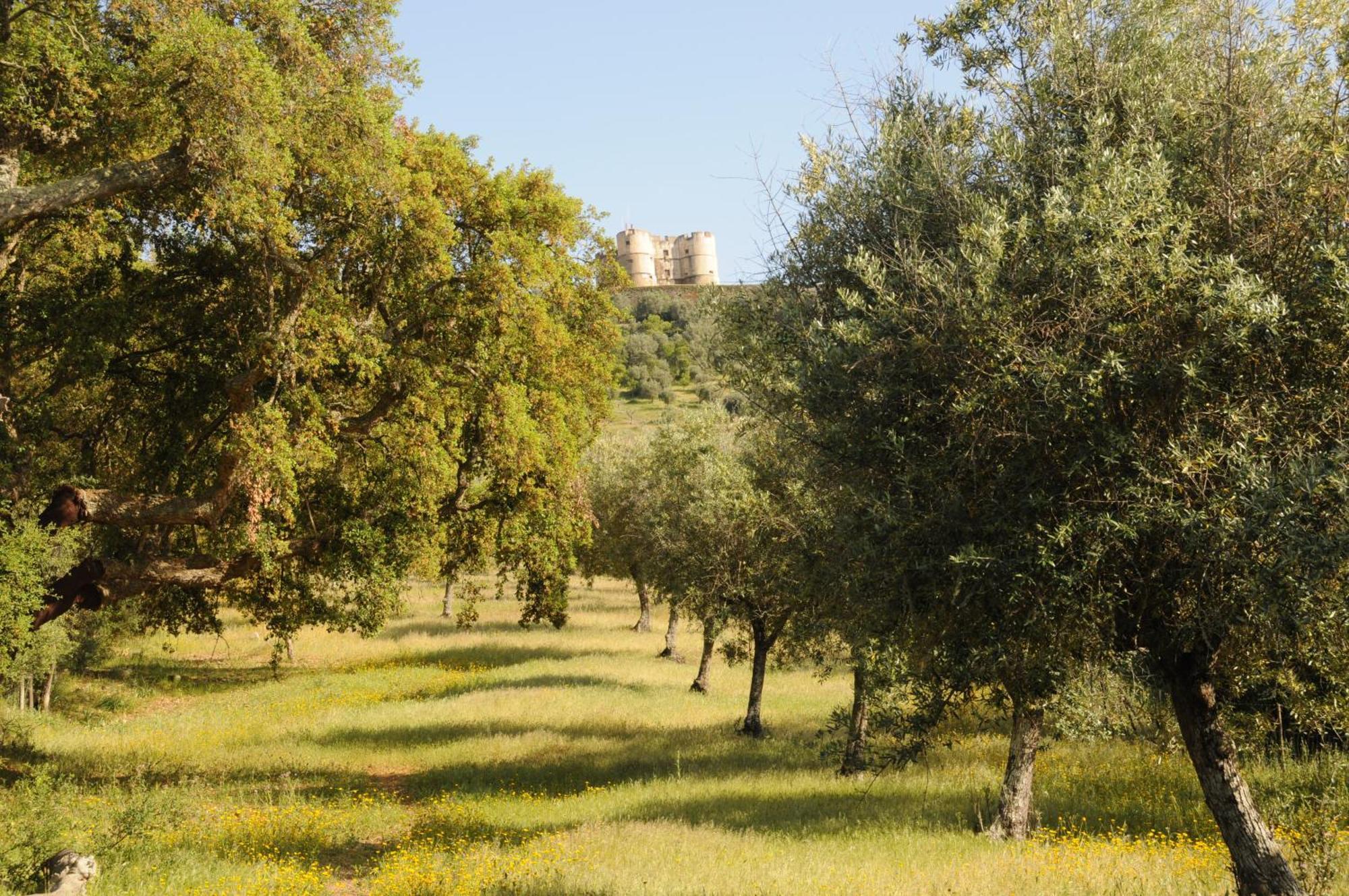 Villa Quinta De Evoramonte à Estremoz Extérieur photo